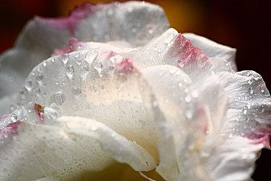 PS年中大促“Days Of Play”开启 超1300款游戏打折